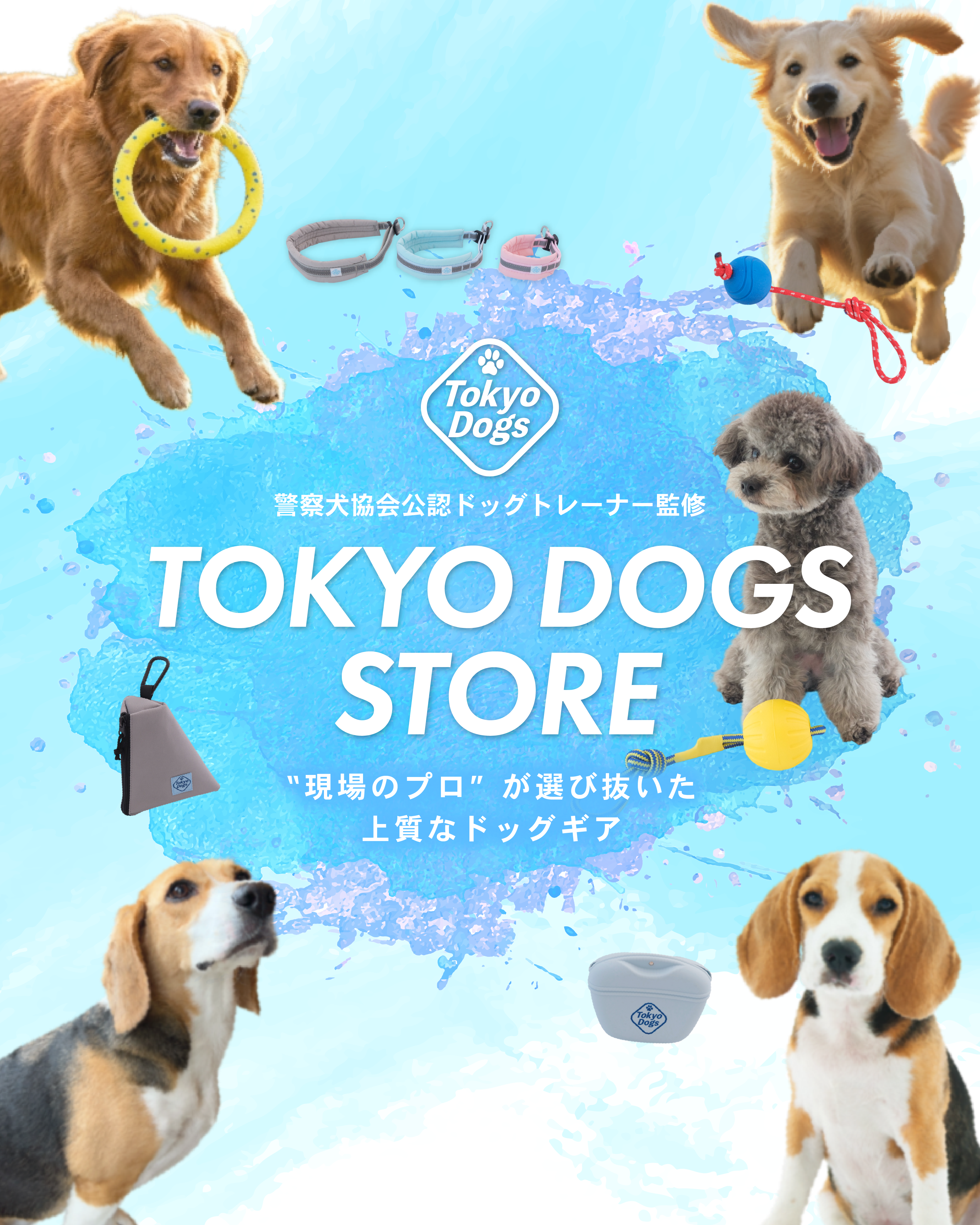 TOKYO DOGS STOREのドッグギアと犬たち
