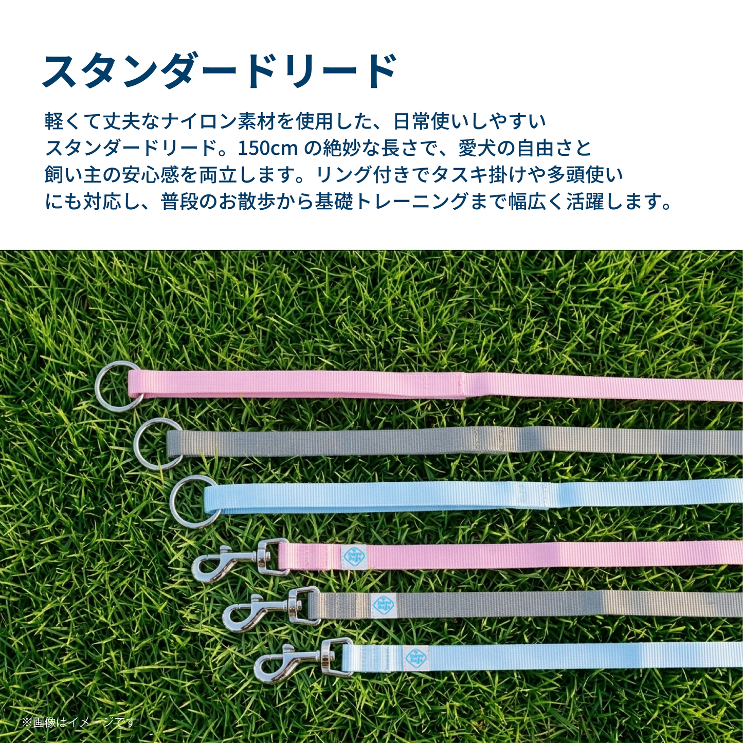 スタンダードリード