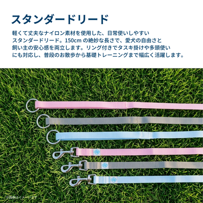 スタンダードリード