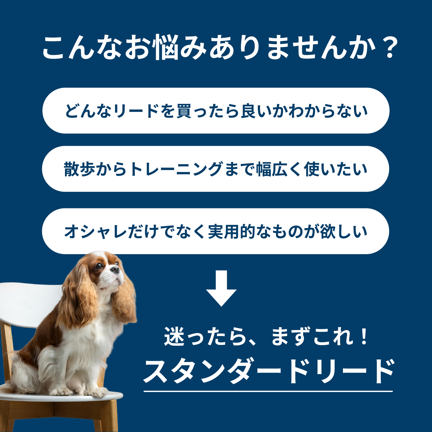 スタンダードリード