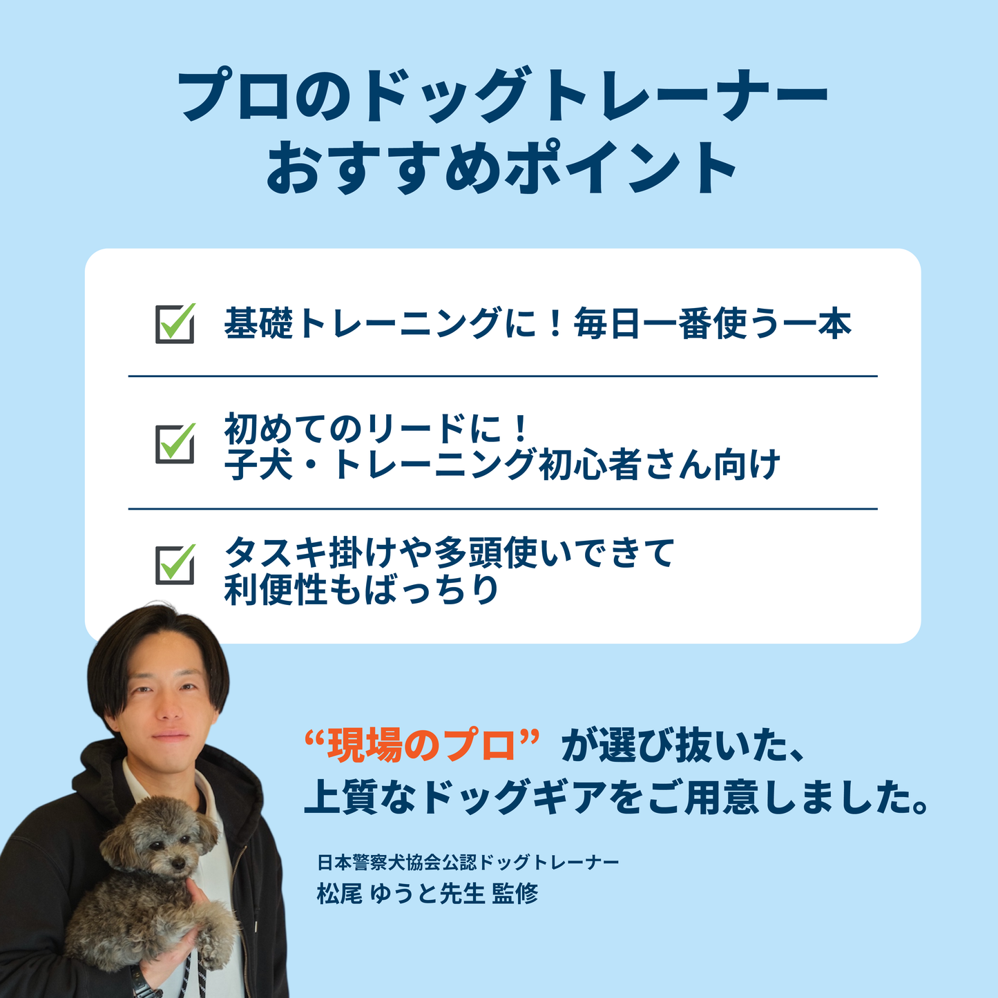 スタンダードリード