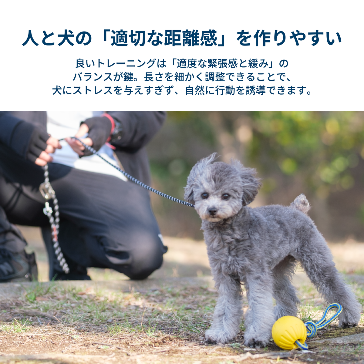 マルチスリップリード