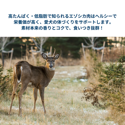 ディールリッチトリーツ