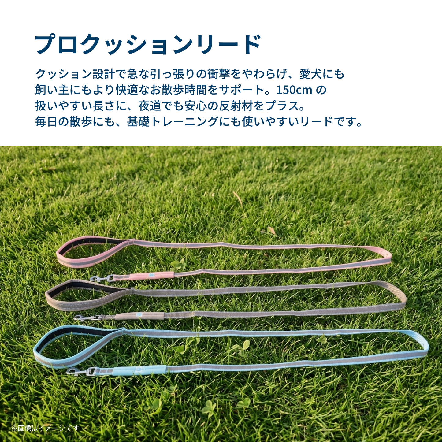 プロクッションリード