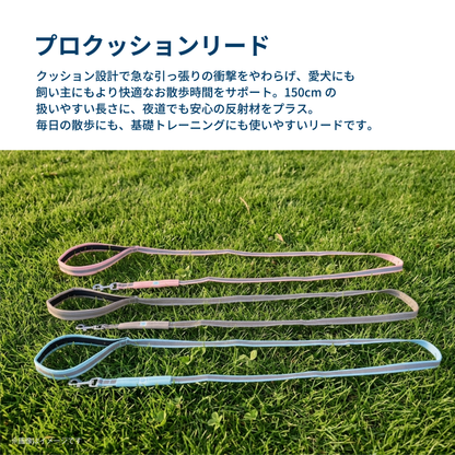 プロクッションリード