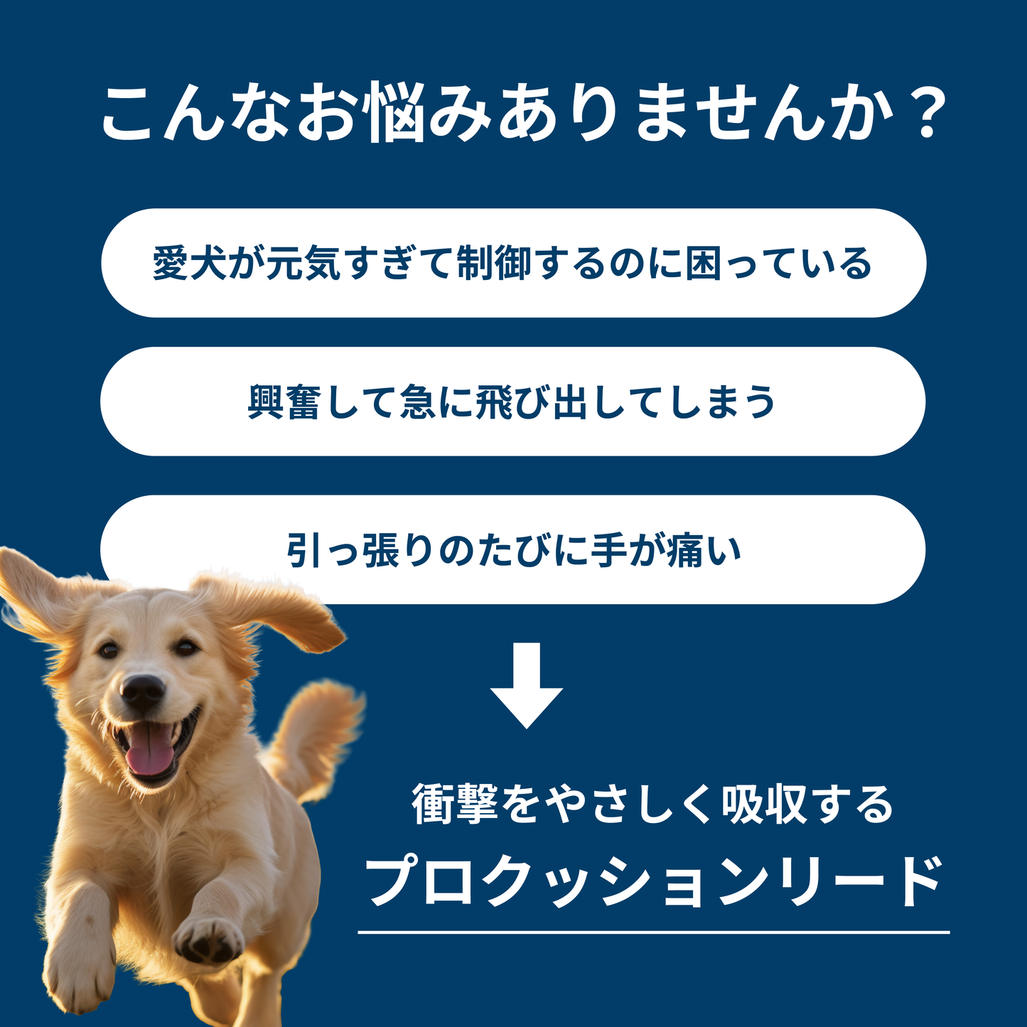 プロクッションリード