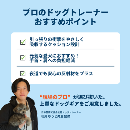 プロクッションリード