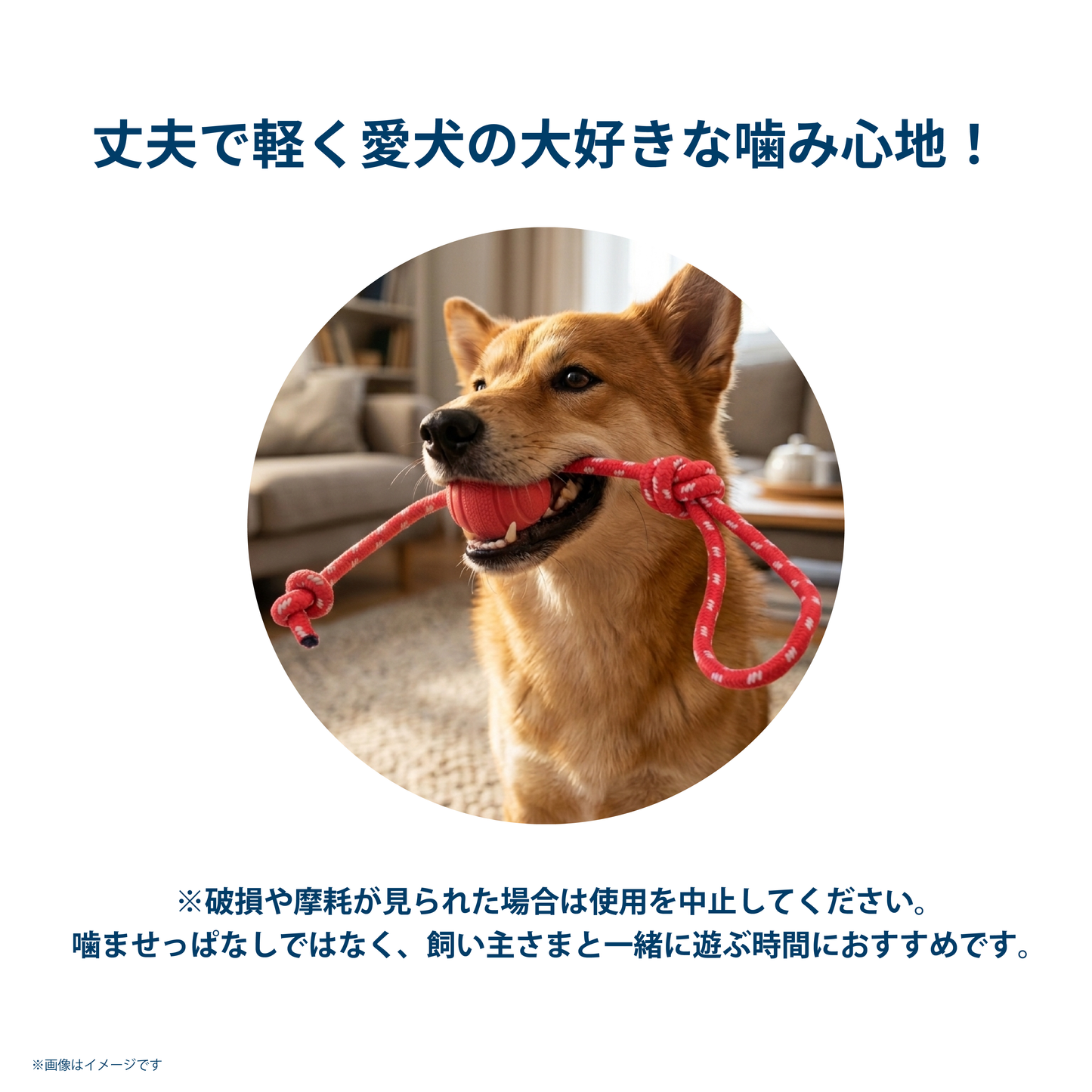 TPR製タフボールトイ