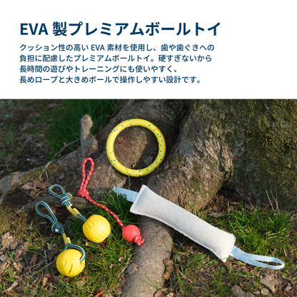 EVA製プレミアムボールトイ