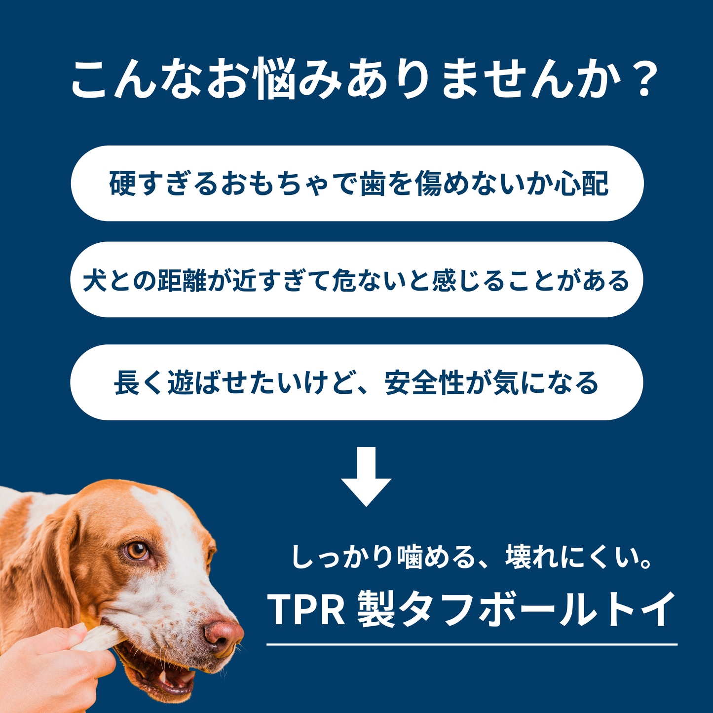 EVA製プレミアムボールトイ