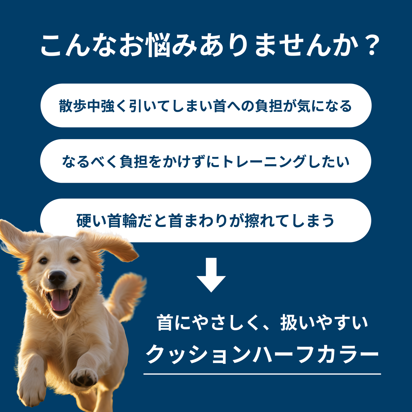 プロクッションハーフカラー