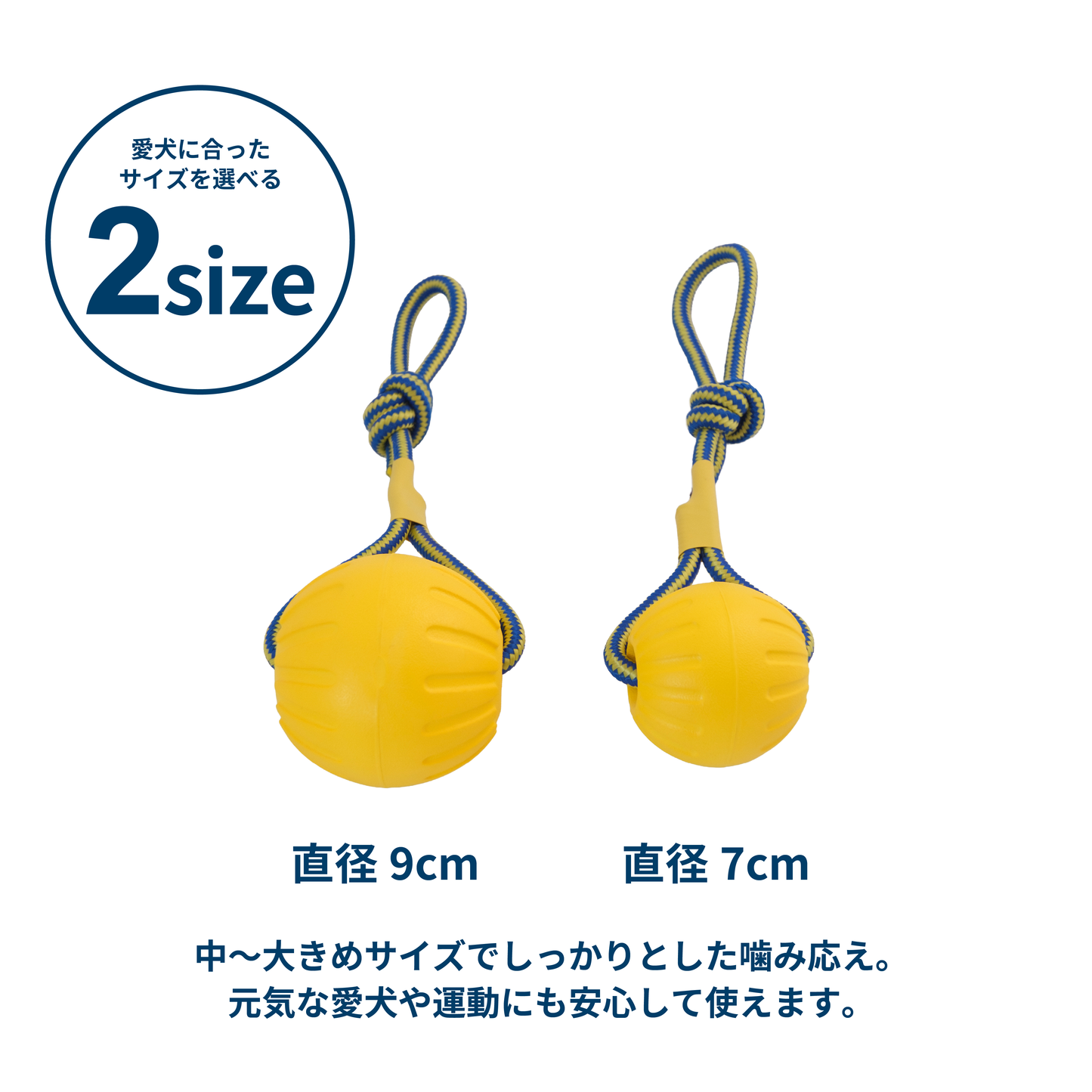 EVA製プレミアムボールトイ