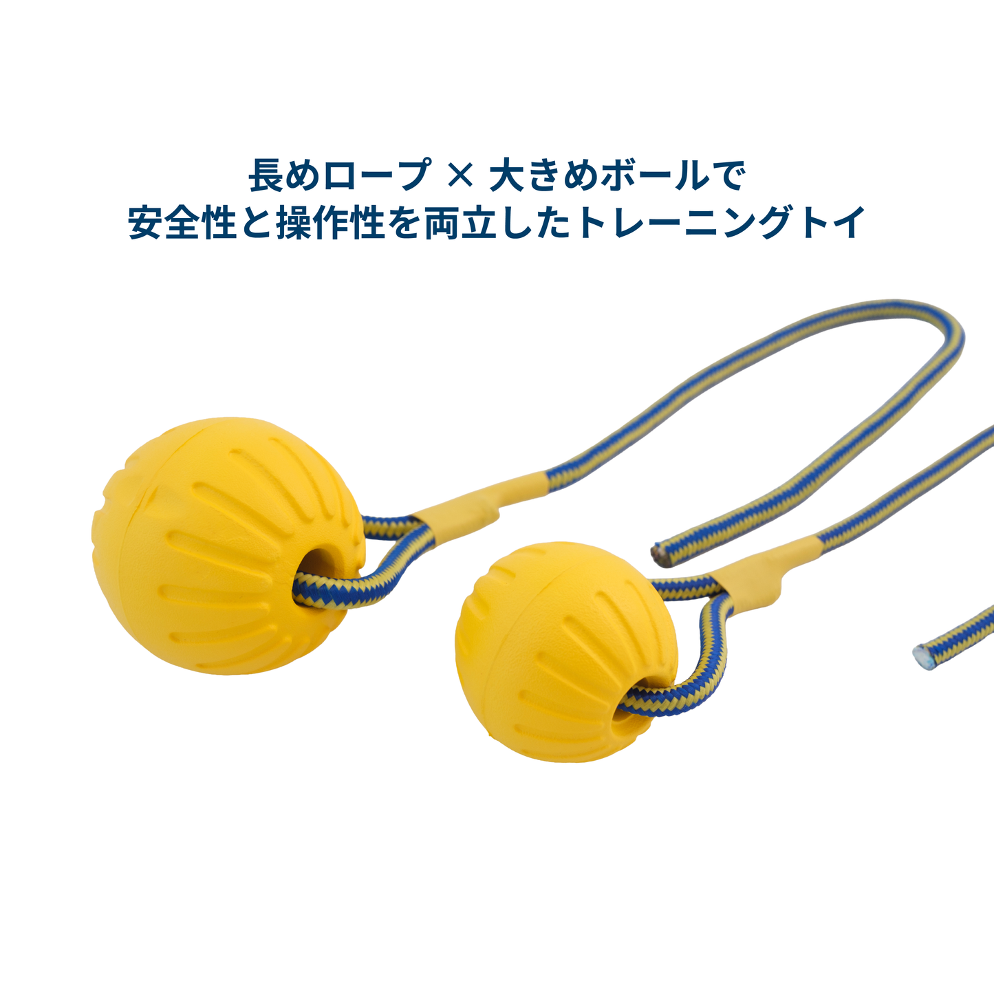 EVA製プレミアムボールトイ