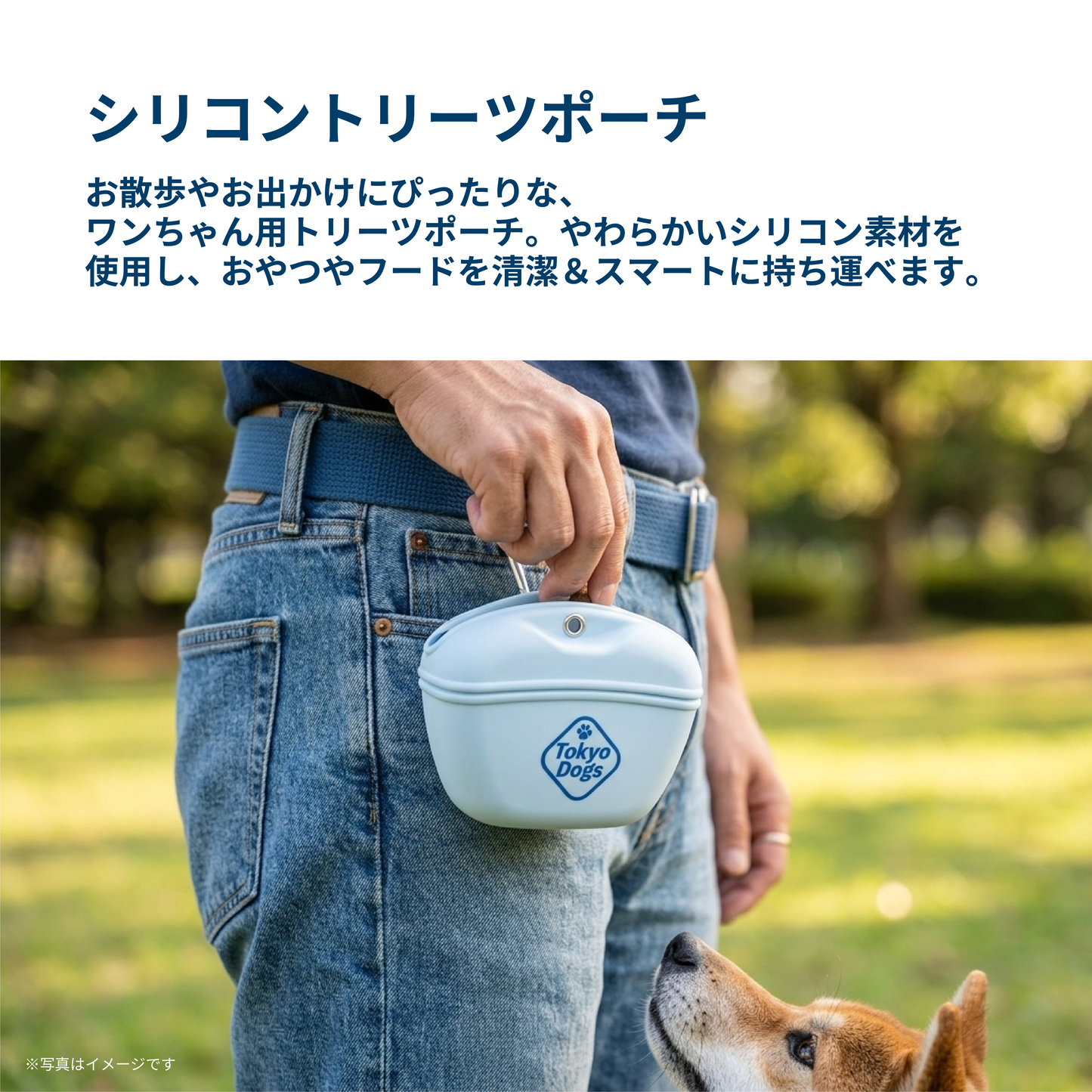 シリコントリーツポーチ