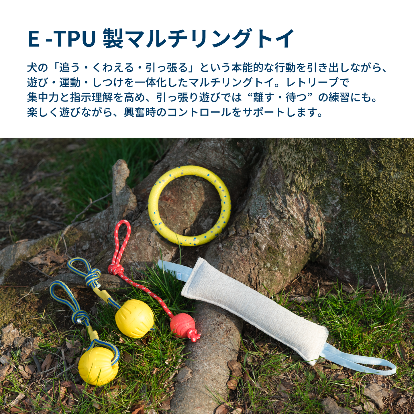 E-TPU製マルチリングトイ