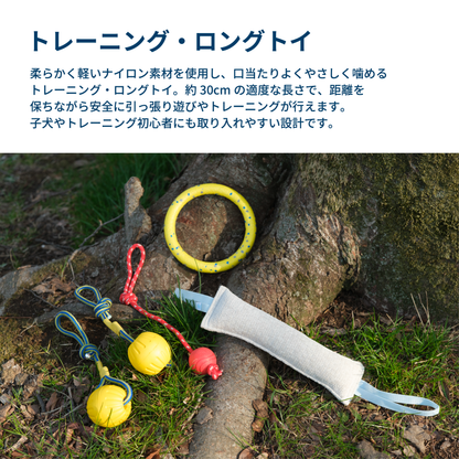 トレーニング・ロングトイ