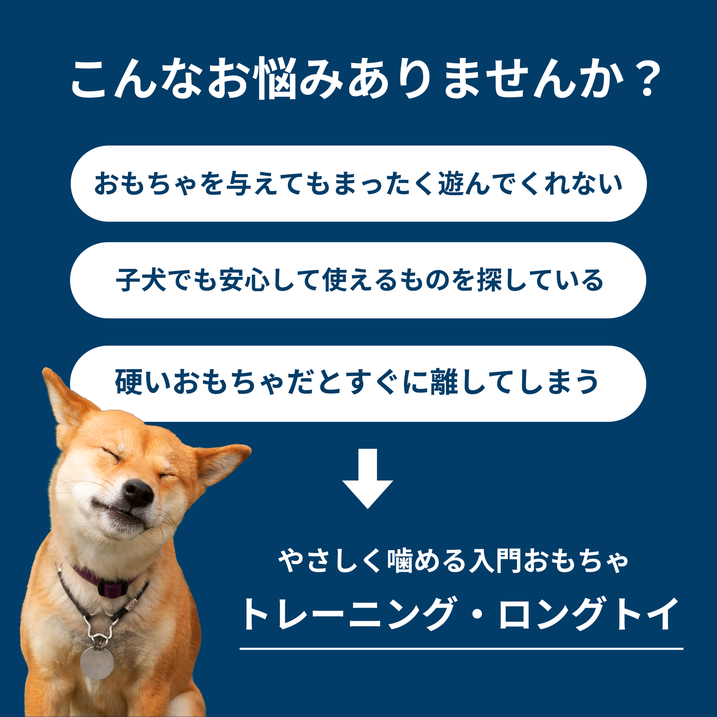 トレーニング・ロングトイ